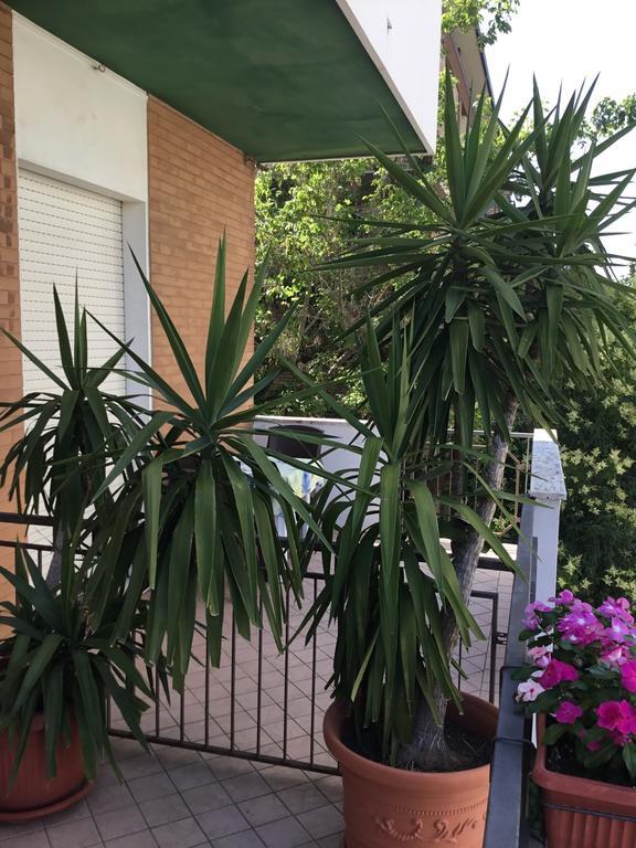 Hotel Mirella 里米尼 外观 照片